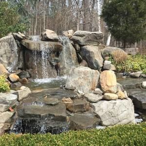 Meet your Posher, Elva